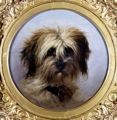 Et hoved af en terrier (olie om bord) af Agnes Dundas