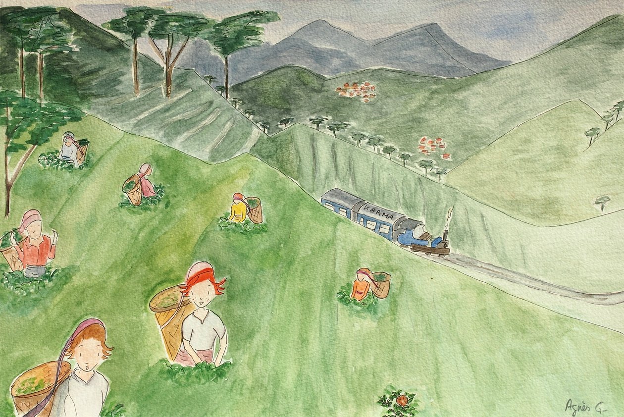 The Voyage, Darjeeling 2015 , akvarel på papir af Agnes Girardon