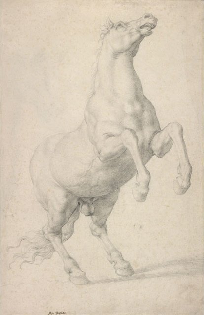 Opdrættende hest af Agnolo Bronzino