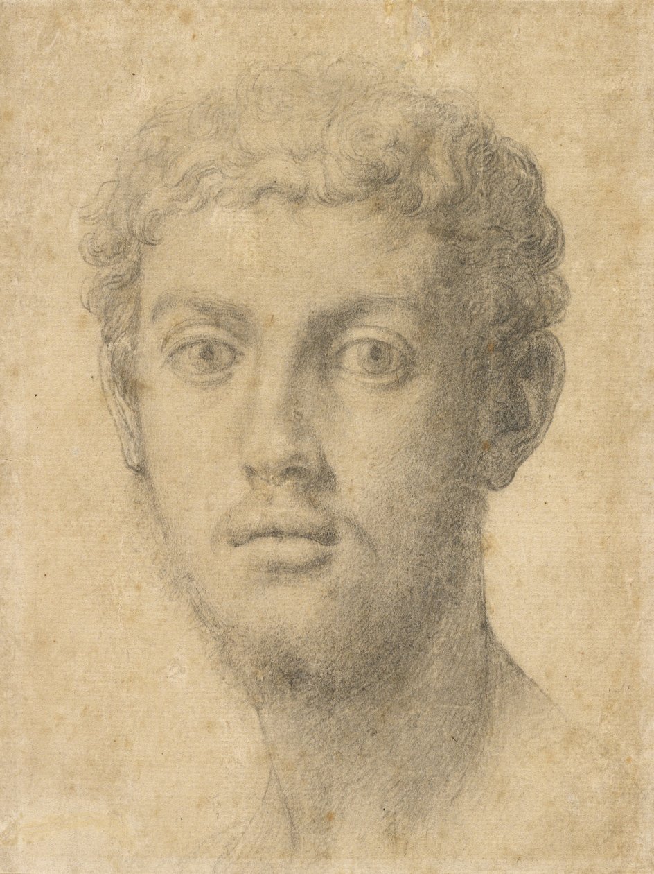 Hovedet af en mand af Agnolo Bronzino