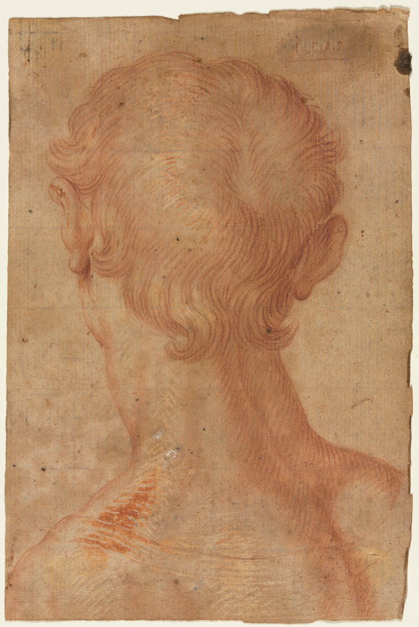 Männerkopf von hinten af Agnolo Bronzino
