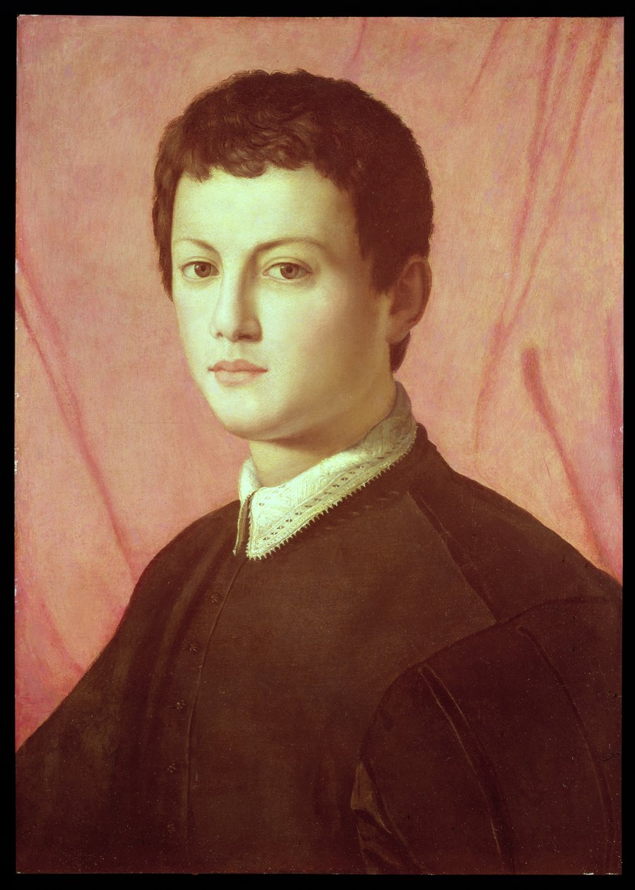 Portræt af en ung mand (panel) af Agnolo Bronzino