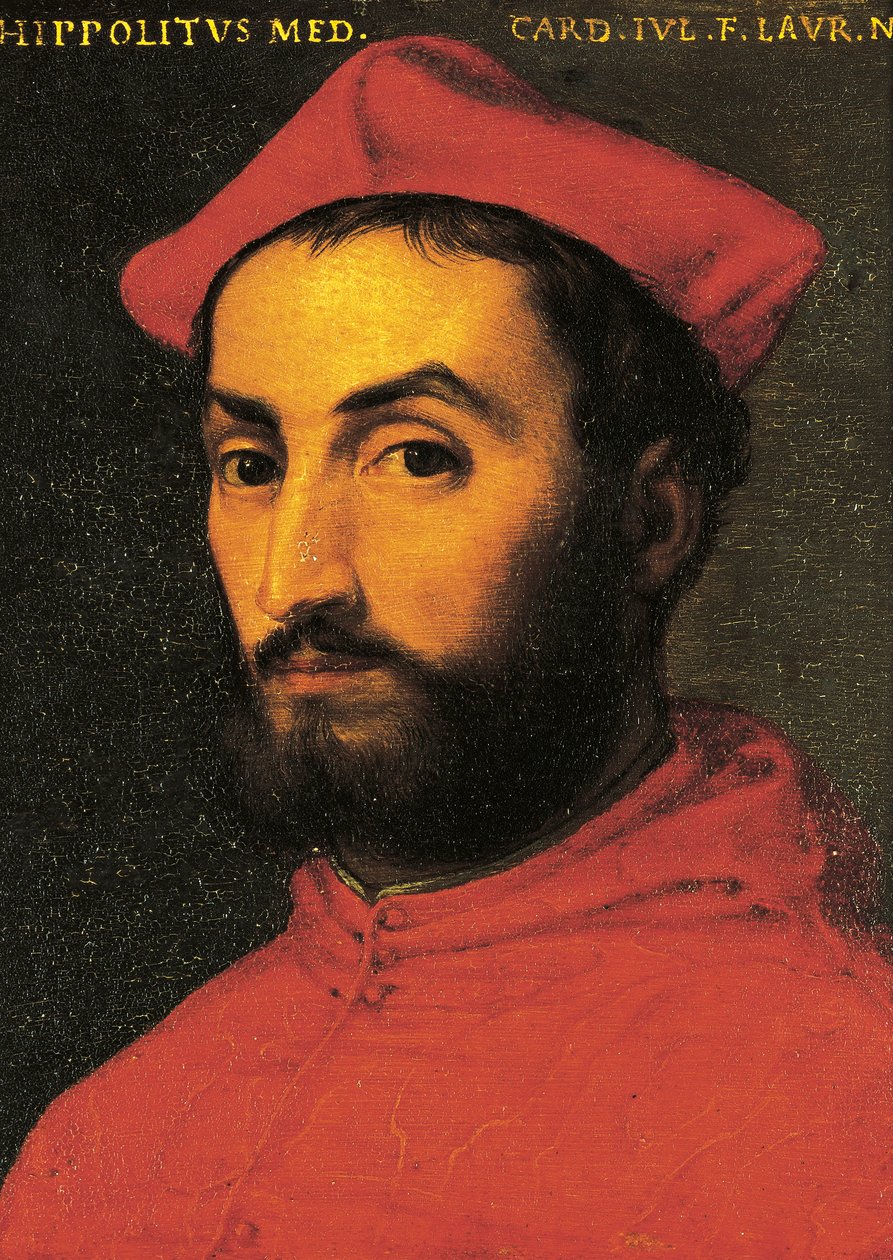 Portræt af Ippolito de Medici (Urbino af Agnolo Bronzino