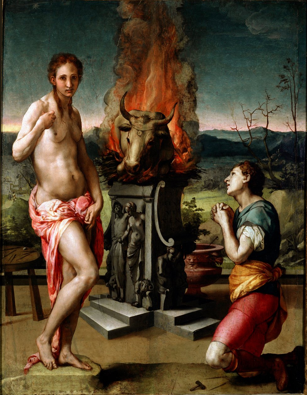 Pygmalion og Galatee (eller Galathee) Maleri af Agnolo di Cosimo di Mariano dit Il Bronzino (1502-1572) 1529-1530 Søn. 81x63 cm Firenze, Uffizi-galleriet (Musee des Uffizi) af Agnolo Bronzino