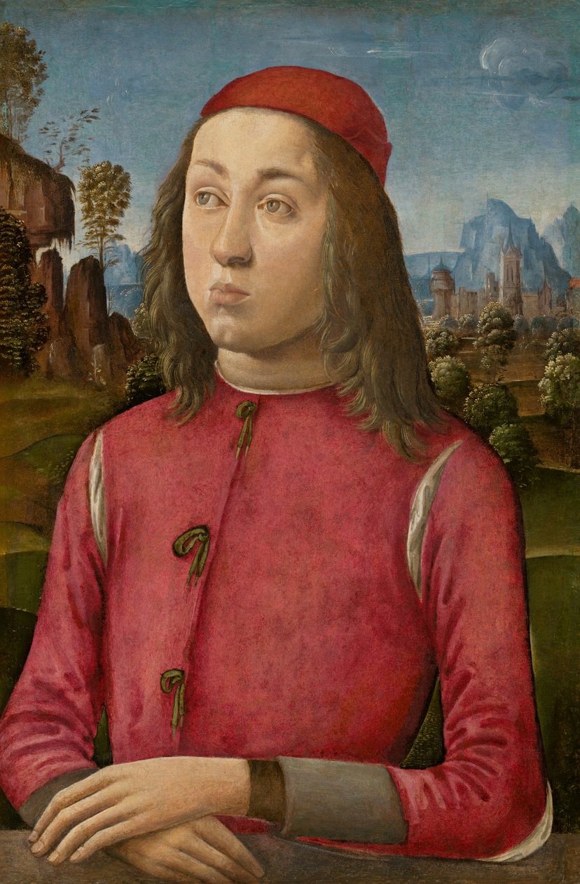 Portræt af en ungdom, ca. 14951500 af Agnolo di Domenico di Donnino