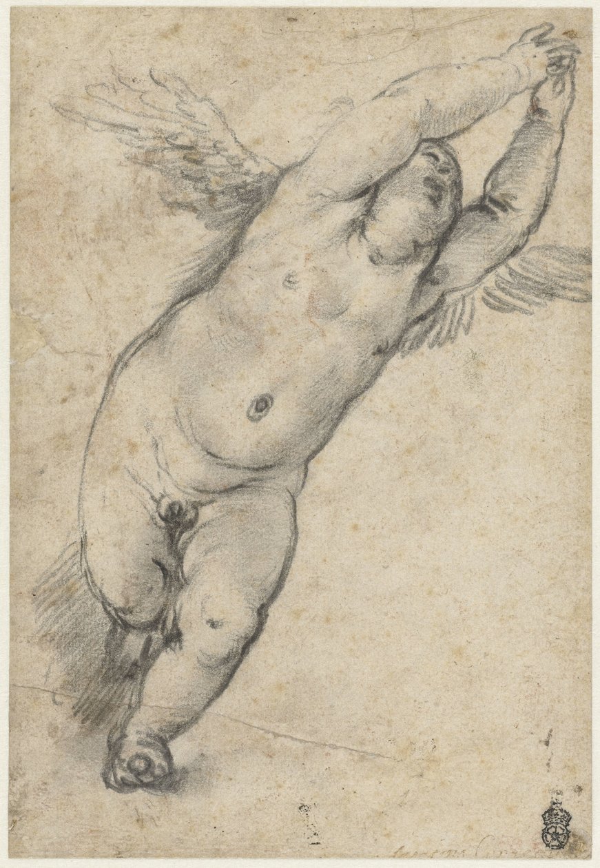 Flyvende putto med løftede arme af Agostino Carracci (attributed to)
