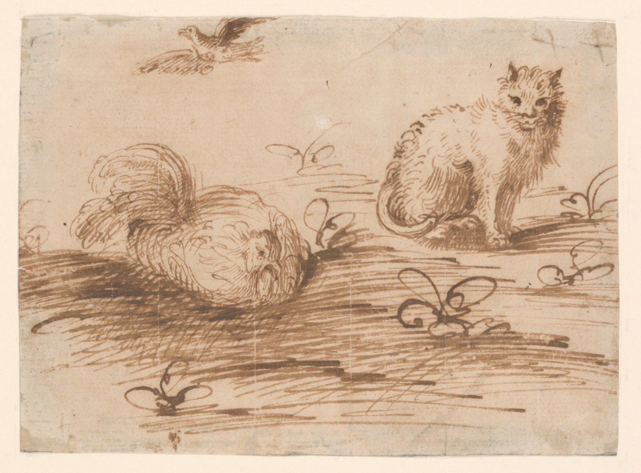 En kat og en høne af Agostino Carracci
