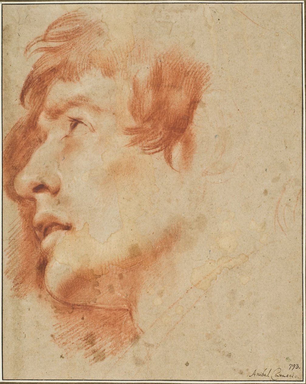 Hoved af en ung mand, der ser op af Agostino Carracci