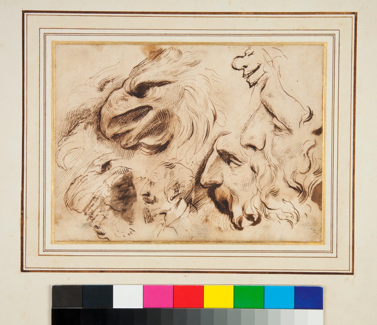 Ark med studier med hovedet af en ørn og mænds profiler og karikaturer (pen og brunt blæk og lidt brun vask) af Agostino Carracci