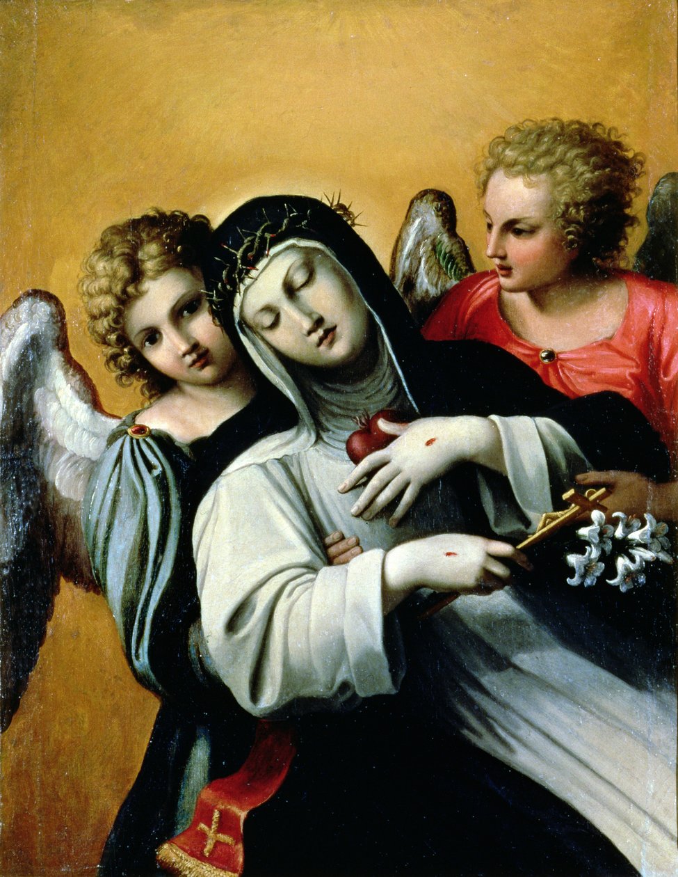 The Ecstasy of Saint Catherine (olie på lærred) af Agostino Carracci