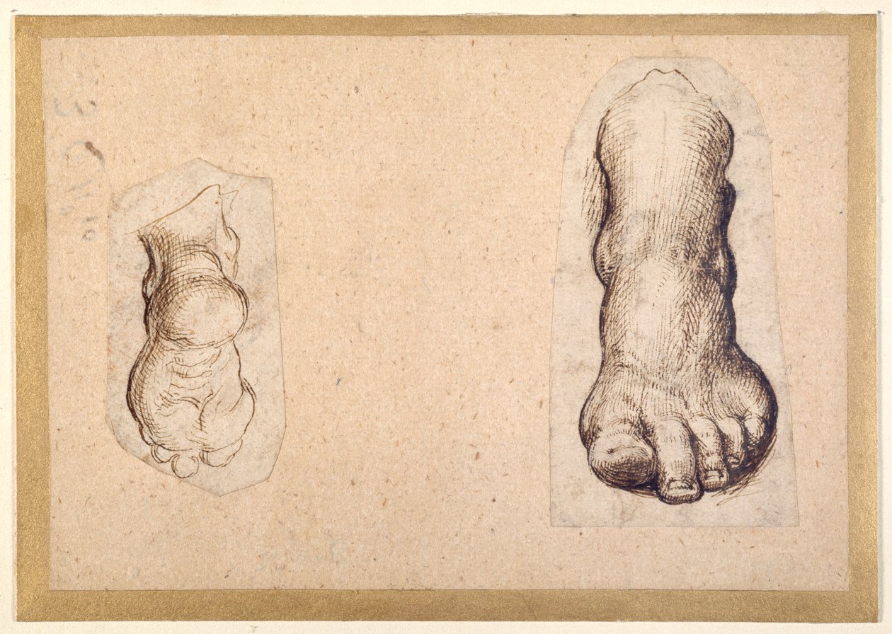 To undersøgelser af en fod i forkortning (pen & blæk på papir) af Agostino Carracci