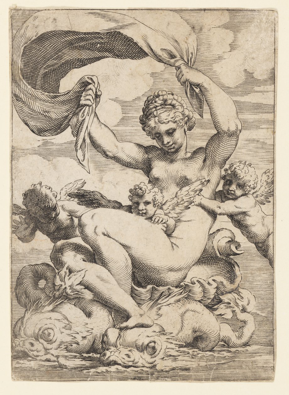 Venus (eller Galatea) og amoriner støttet af delfiner af Agostino Carracci