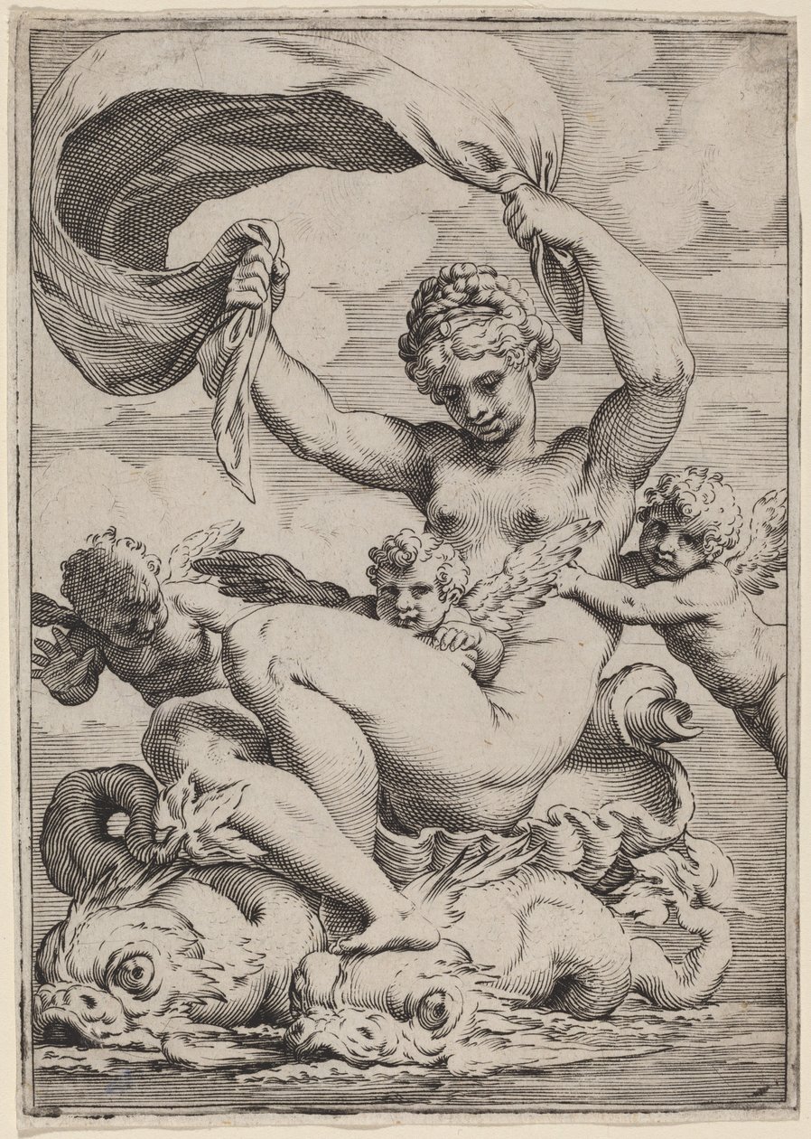 Venus eller Galatea understøttet af delfiner af Agostino Carracci