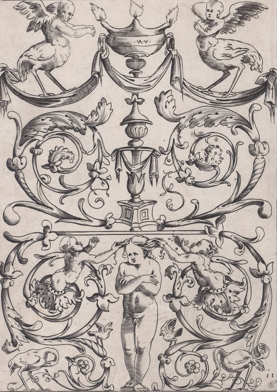 Ornamental panel, ca. 1514-36. af Agostino Veneziano
