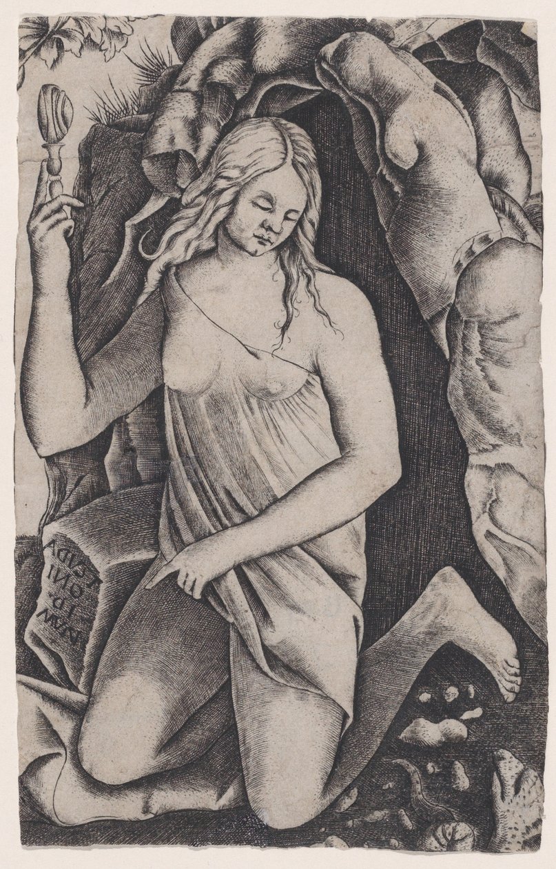 St. Margaret, Ca. 1514-36. af Agostino Veneziano