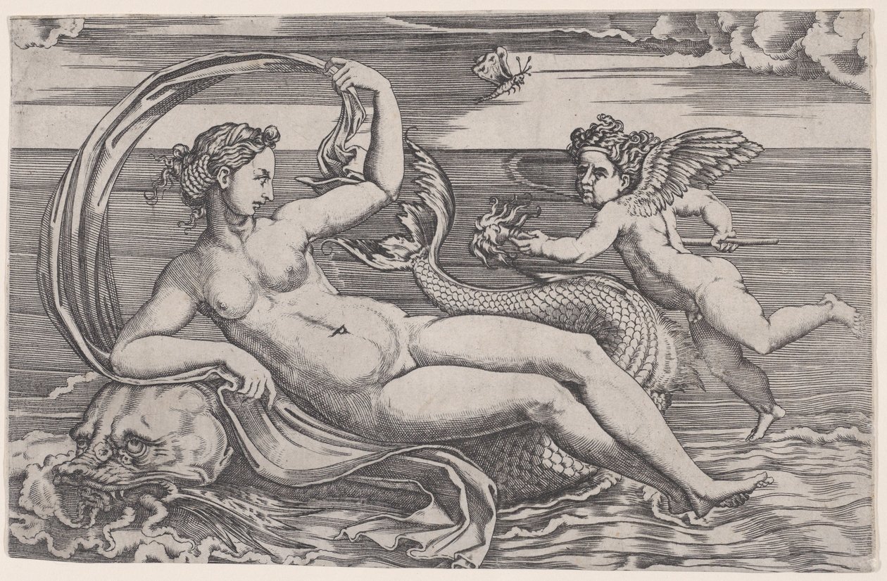 Venus tilbagelænet på en delfin, ca. 1516. af Agostino Veneziano