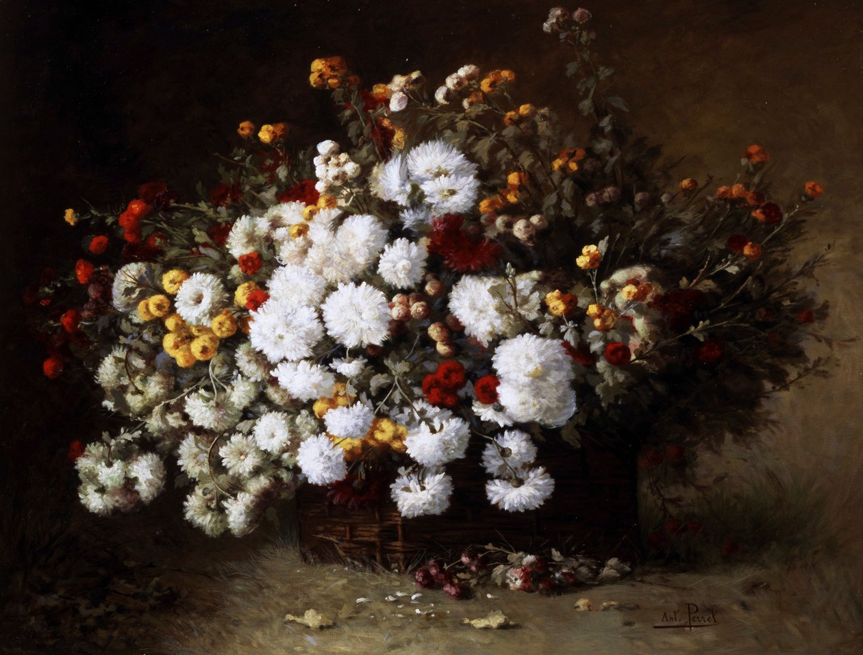 Stilleben med blomster (asters). Maleri af Aime Perret (1847-1927) Privat samling. af Aime Perret