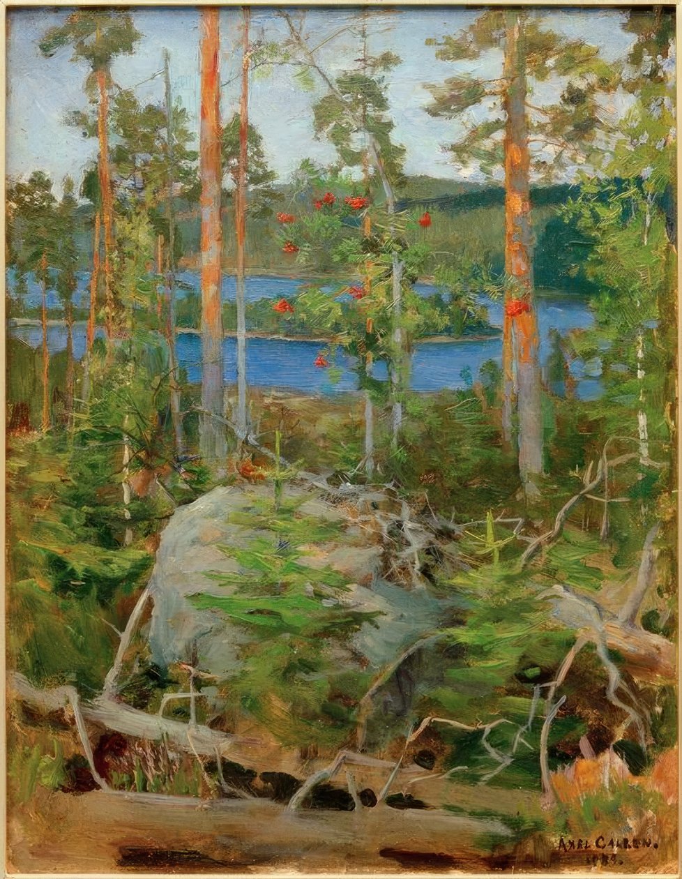Udsigt over Jamajärvi søen af Akseli Valdemar Gallen Kallela