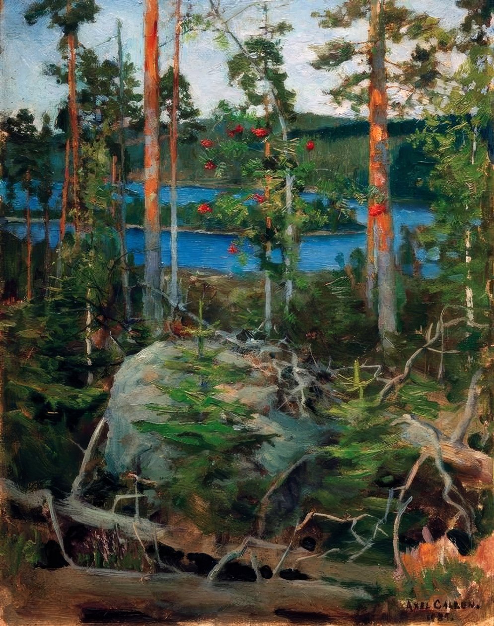 Landskab ved Jamajärvi søen af Akseli Valdemar Gallen Kallela