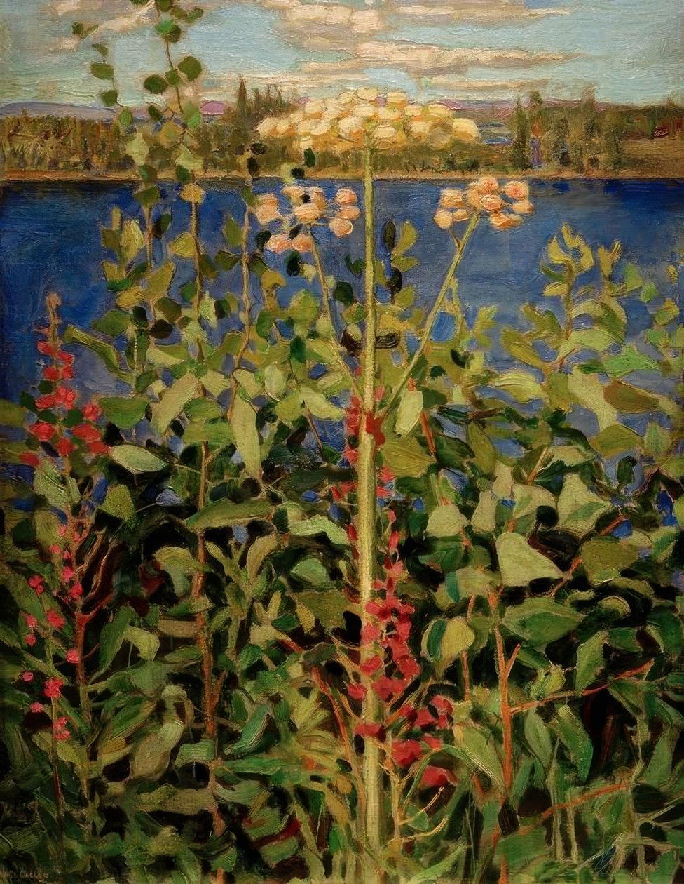 Vild Angelica af Akseli Valdemar Gallen Kallela