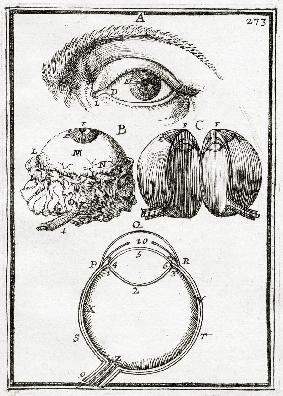 Illustration fra La Geometrie Pratique 1702, af Alain Manesson Mallet