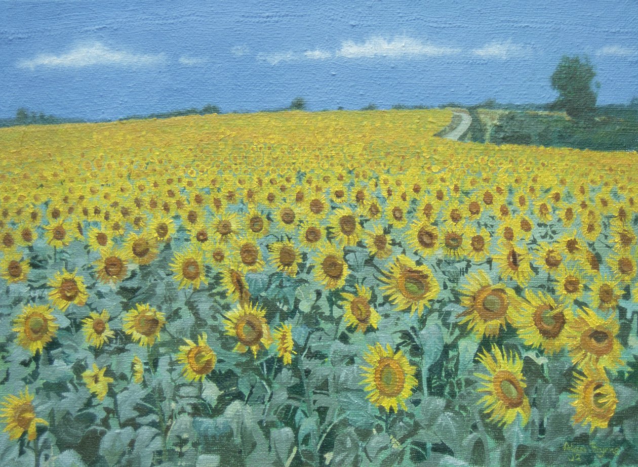 Field of Sunflowers, 2002 af Alan Byrne