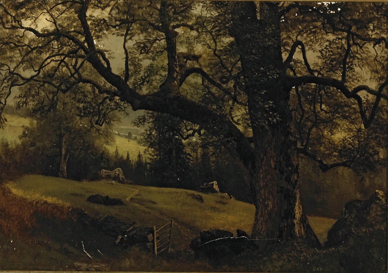 En sti gennem træerne af Albert Bierstadt