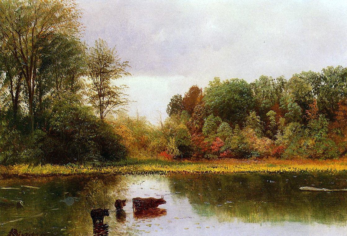 Køer vander i et landskab af Albert Bierstadt
