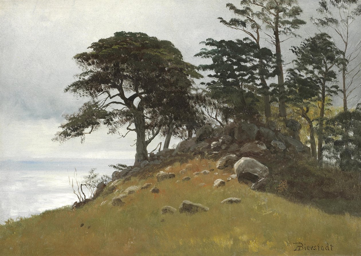 Cypress Point, Monterey af Albert Bierstadt