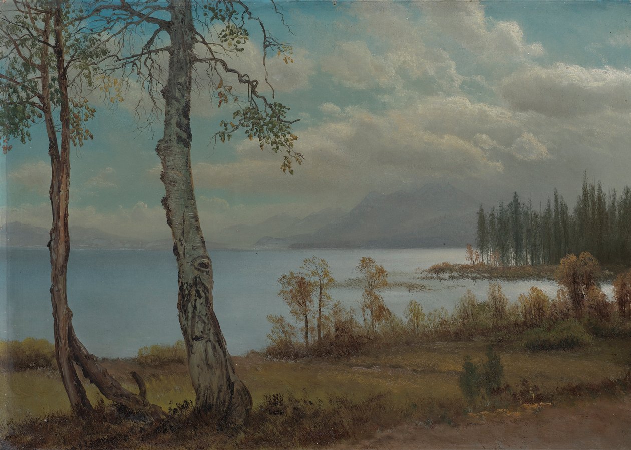 Lake Tahoe af Albert Bierstadt