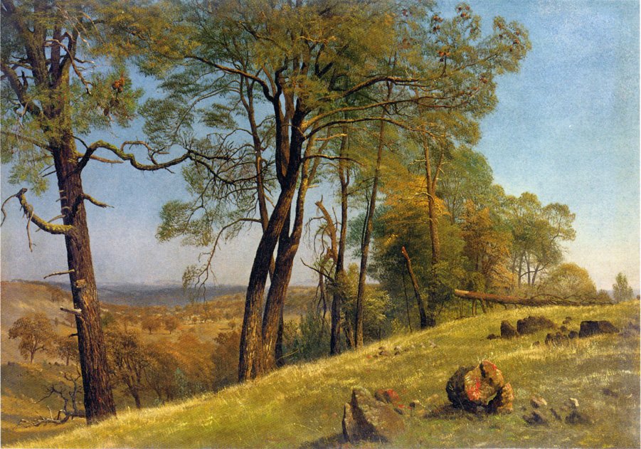 Landskab Rockland County Californien af Albert Bierstadt