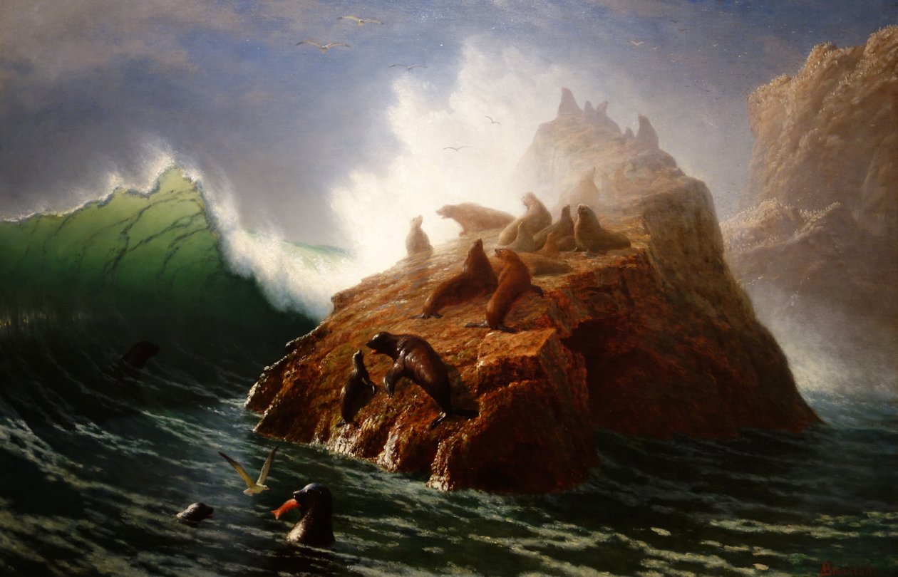 Seal Rock af Albert Bierstadt