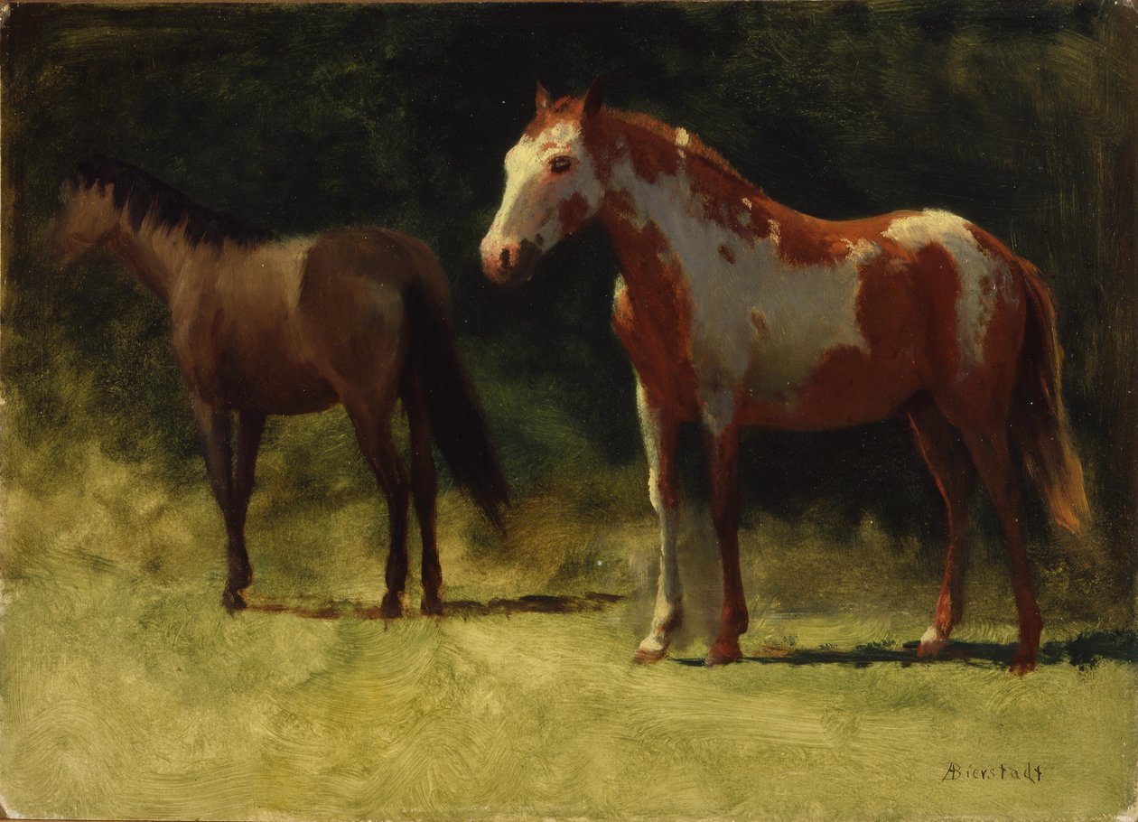 To heste af Albert Bierstadt