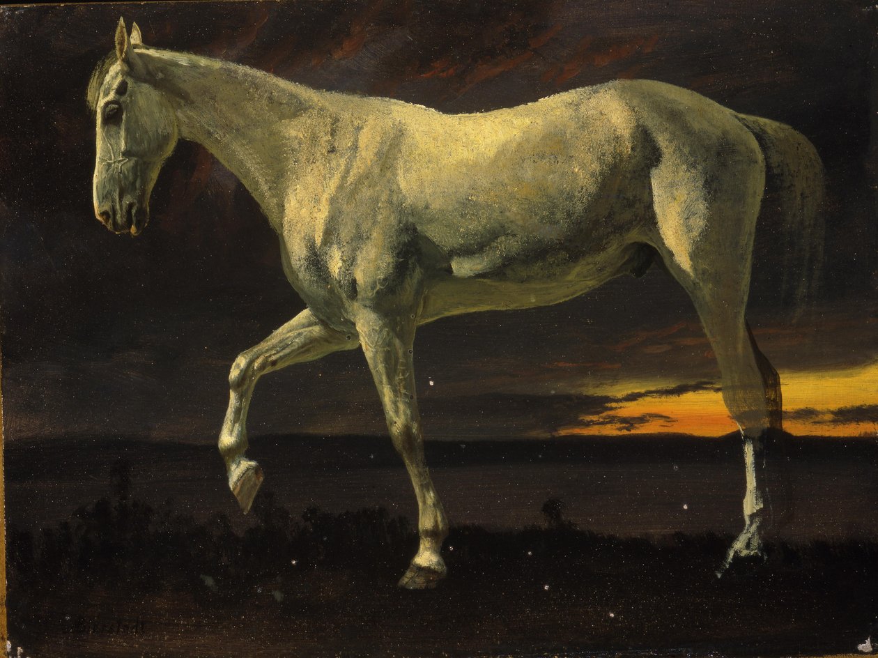 Hvid hest og solnedgang af Albert Bierstadt