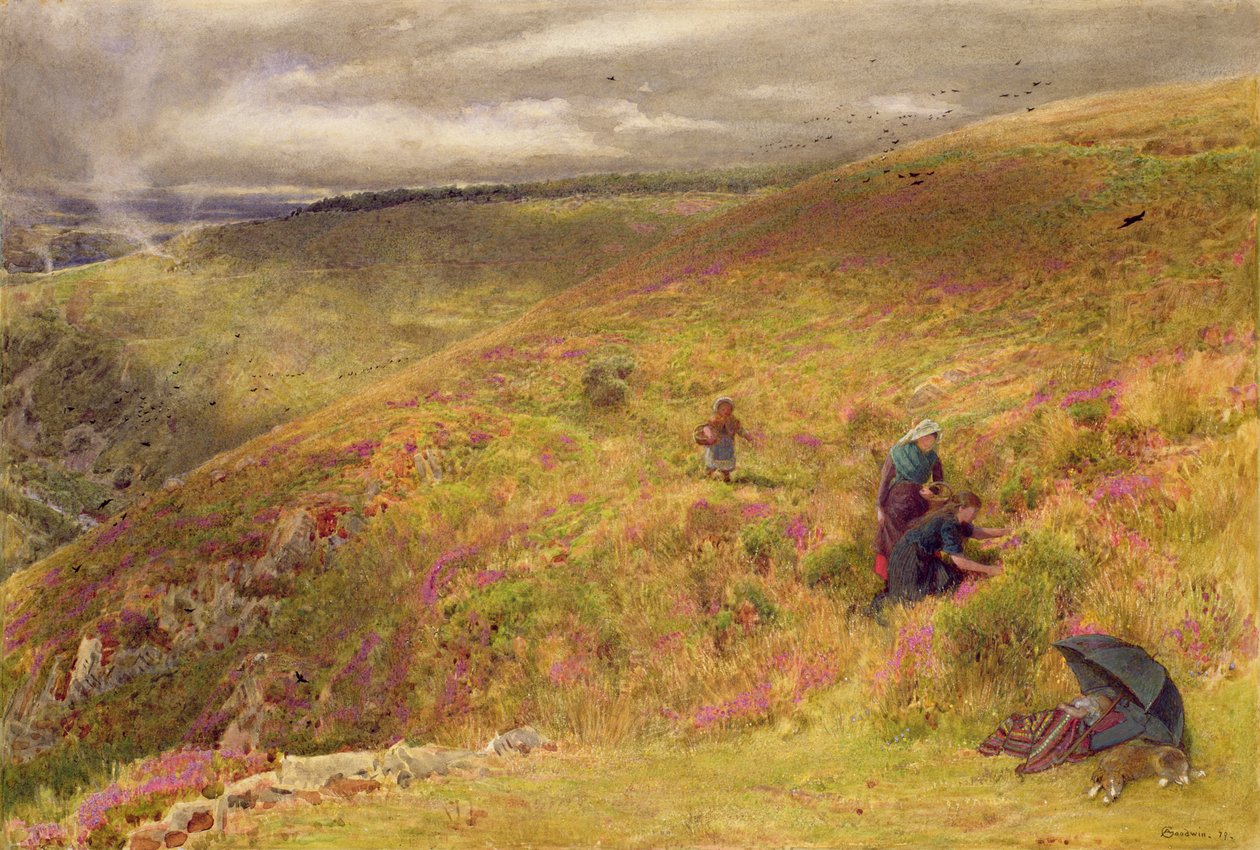 On the South Downs, 1879 (wc, kropsfarve, blæk og ridser ud på papir) af Albert Goodwin