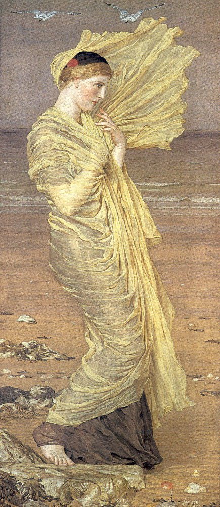 Måger af Albert Joseph Moore