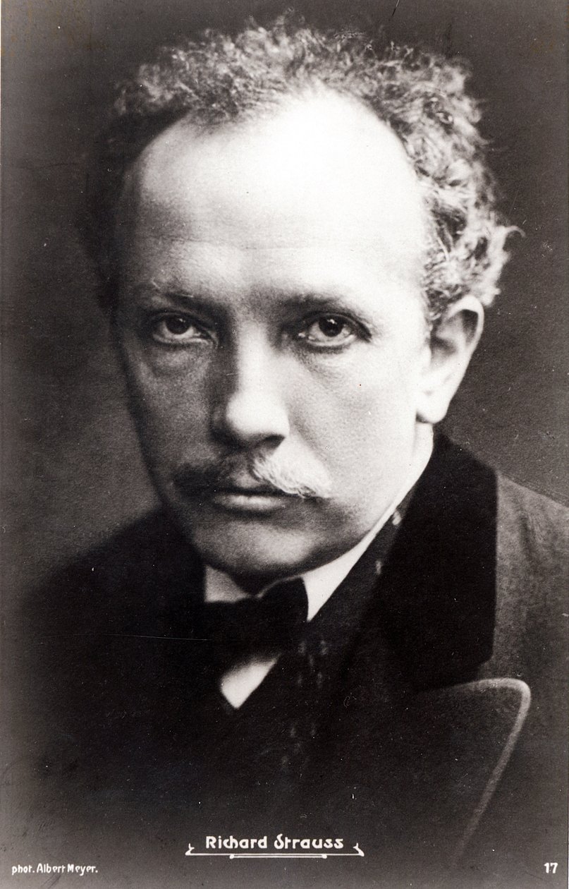 Richard Strauss af Albert Meyer