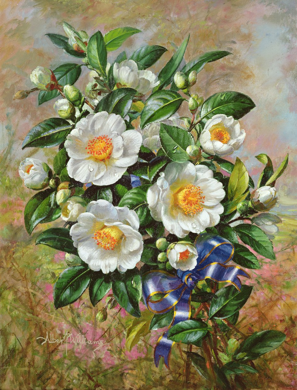 Coronation Camelia fra Golden Jubilee-serien, 2002 af Albert Williams