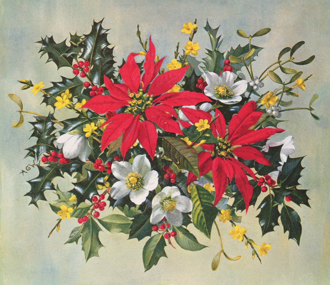 PB274 Juleblomster af Albert Williams