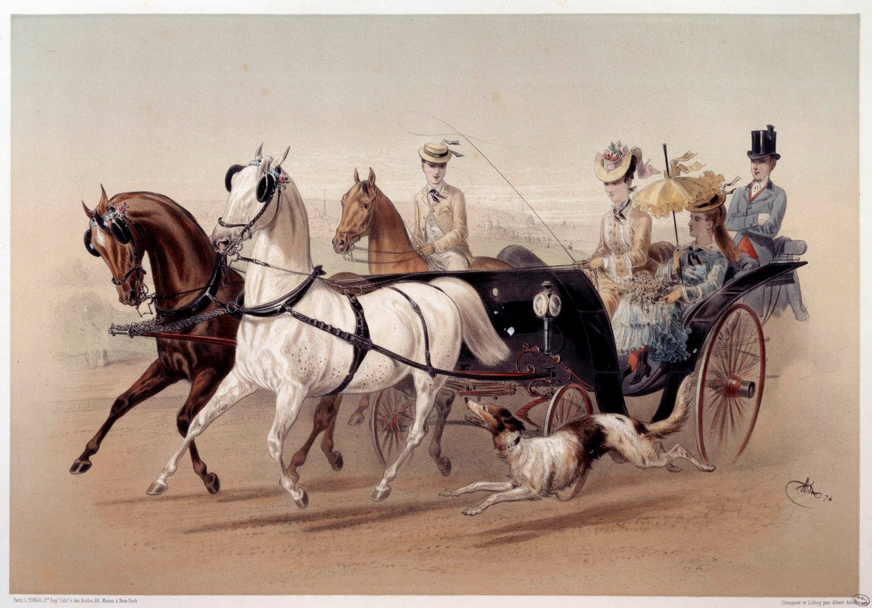 A Victoria Car and the horses of Tarbes Tryk af Albert Adam (1833-?) Paris fra det 19. århundrede, Musee Carnavalet af Albert Adam