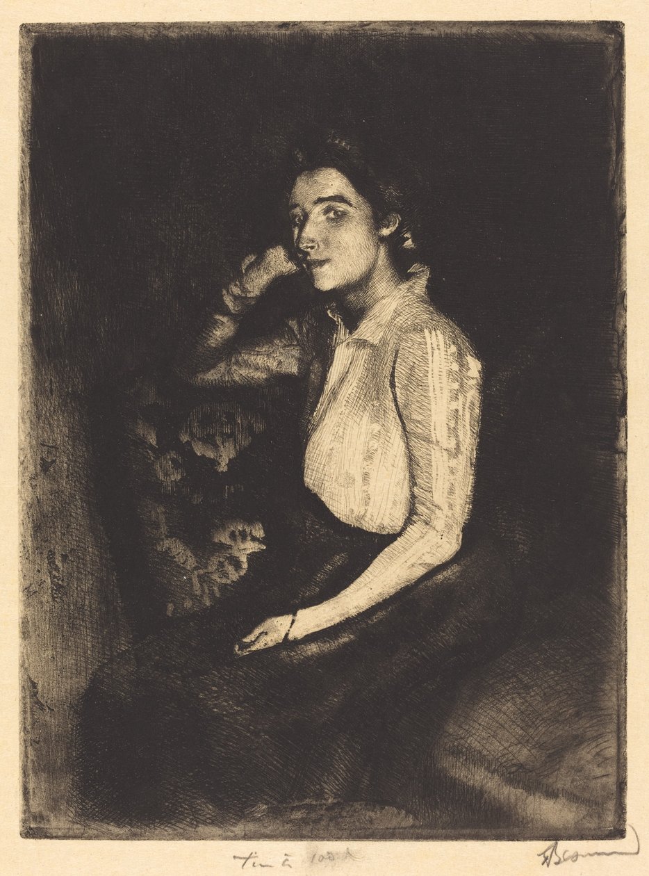 Biarroten af Albert Besnard