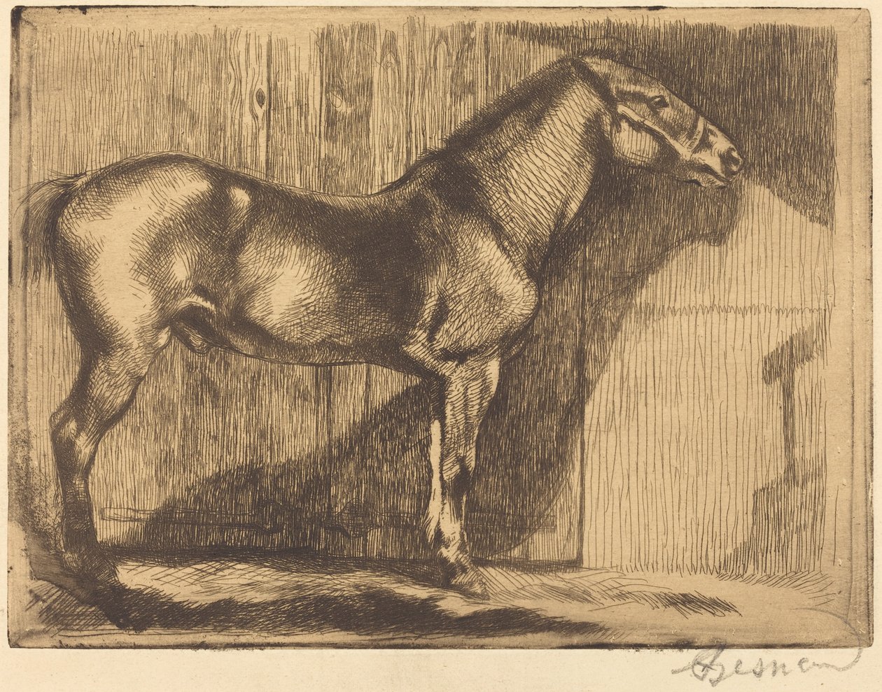Pony (Le poney) af Albert Besnard