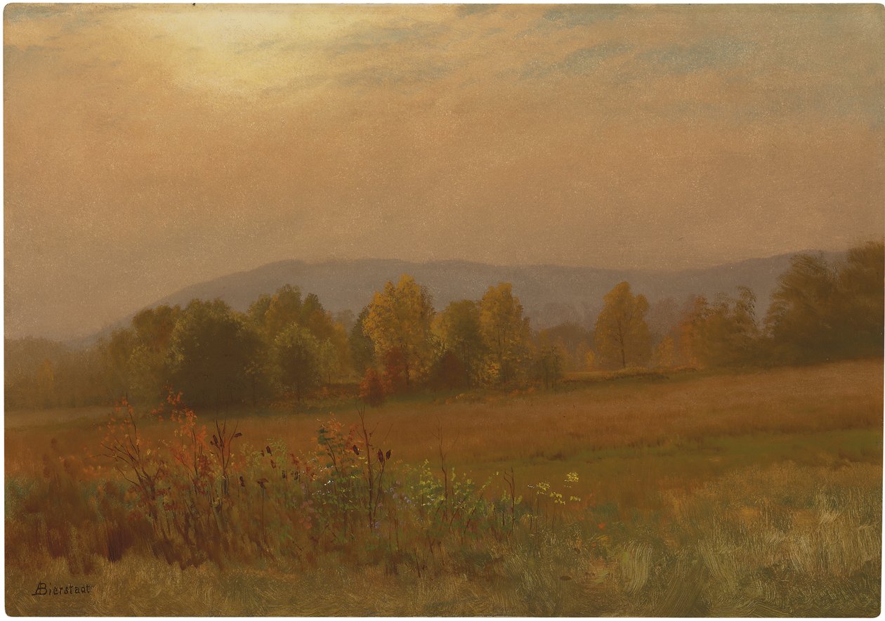Efterårslandskab, New England (olie på papir lagt om bord) af Albert Bierstadt
