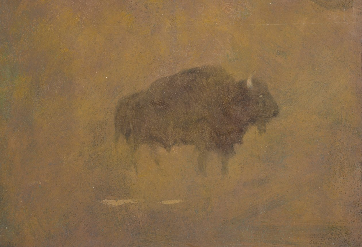 Buffalo in a Sandstorm (olie på papir monteret om bord) af Albert Bierstadt