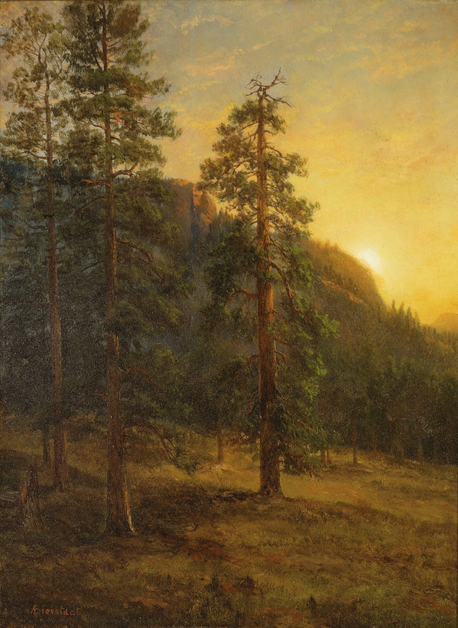 Californiens rødskove af Albert Bierstadt