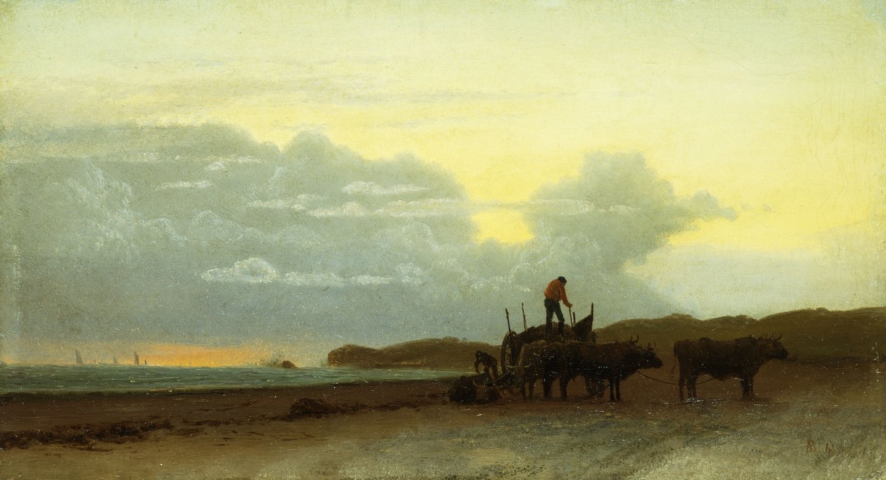 Coastal View, Newport, 1861 af Albert Bierstadt