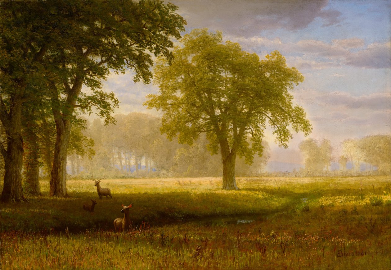 Elg i Oak Grove (Tuolumne Meadows) af Albert Bierstadt