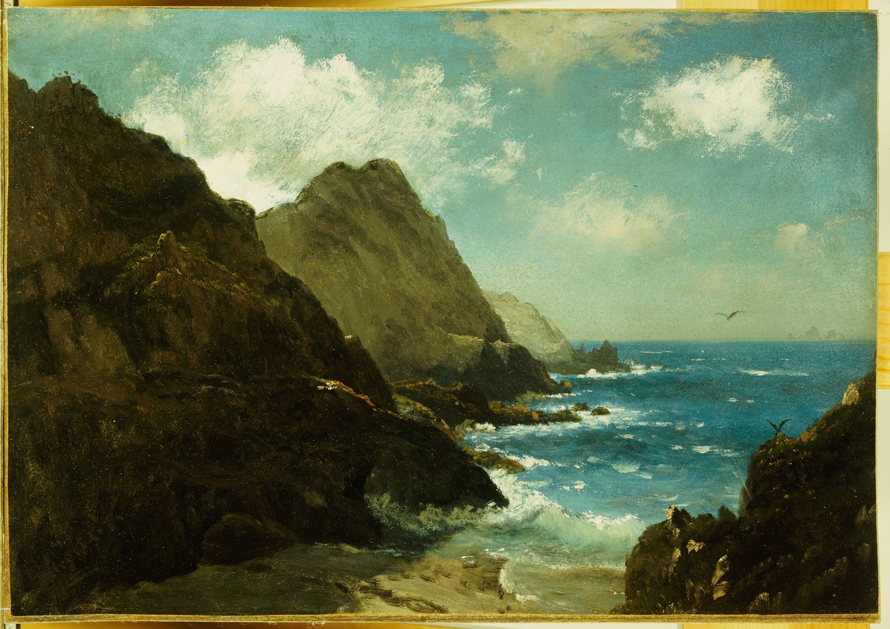 Farallon øerne af Albert Bierstadt
