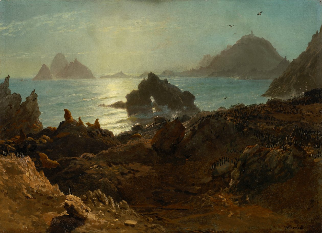 Farallon-øerne, Stillehavet, Californien af Albert Bierstadt