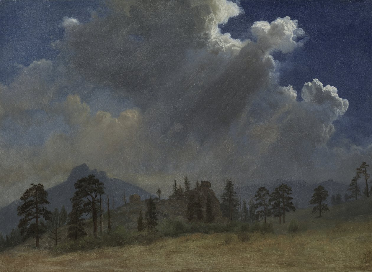 Fyrretræer og stormskyer af Albert Bierstadt